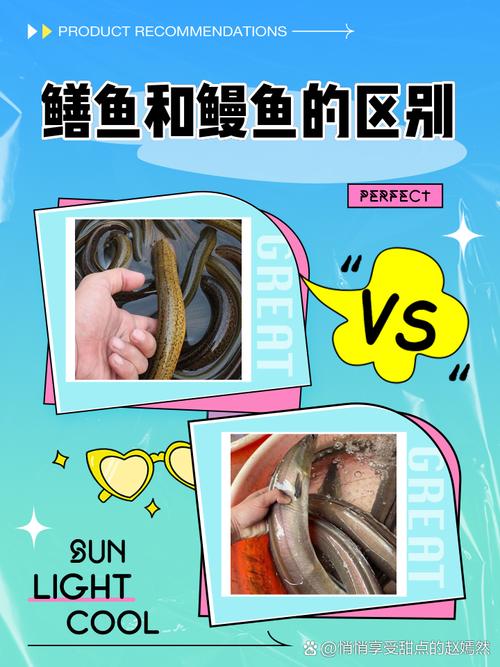 梦见黄鳝和蛇分别预示着什么它们之间有什么特殊含义？