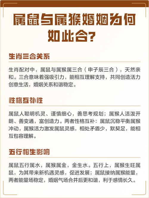 属鼠和属猴的结合是否真的有福气，猴遇鼠的缘分究竟有何忒别之处？