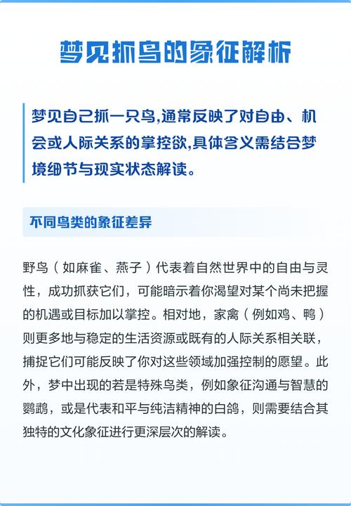 梦见用手抓到鸟却无法赶走，这究竟预示着什么含义？