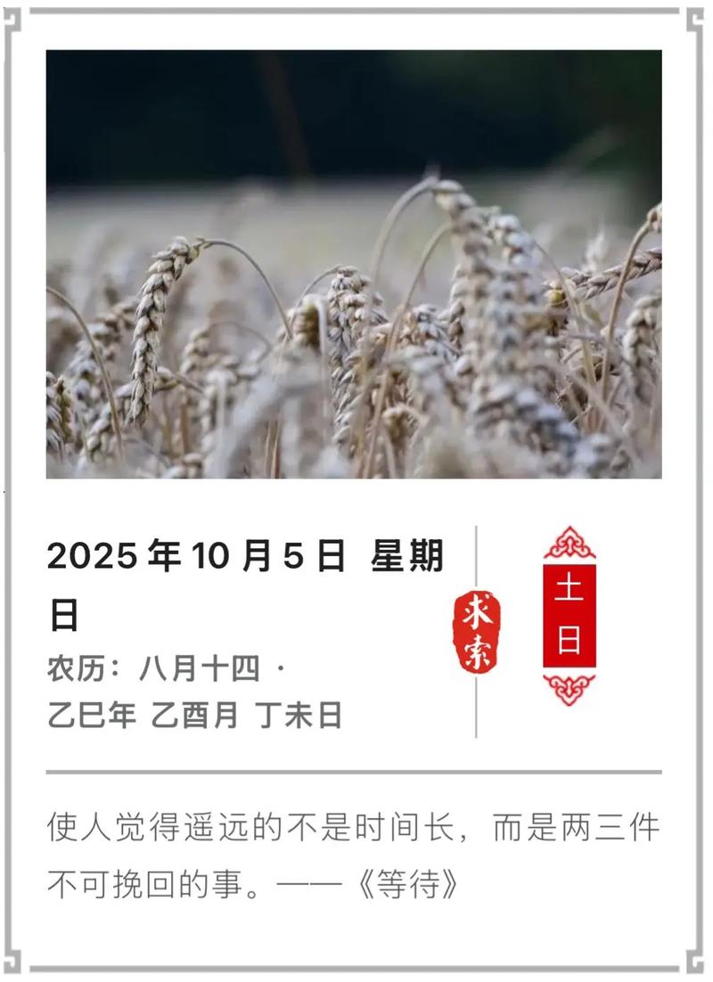 丁未日五行属什么？请问丁未日的五行属性是什么？