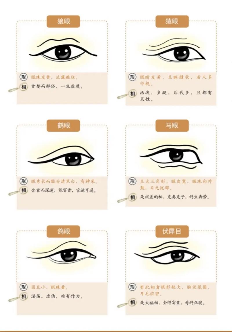 眼睛一单一双的面相叫什么？它能揭示我内心深处的秘密吗？
