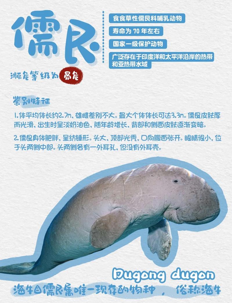 哪一种生肖的动物以临危不惧著称？