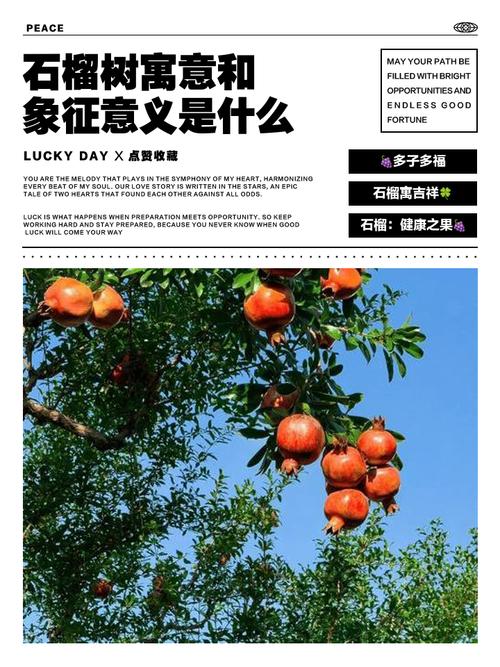 石榴树的寓意和象征分别是什么？
