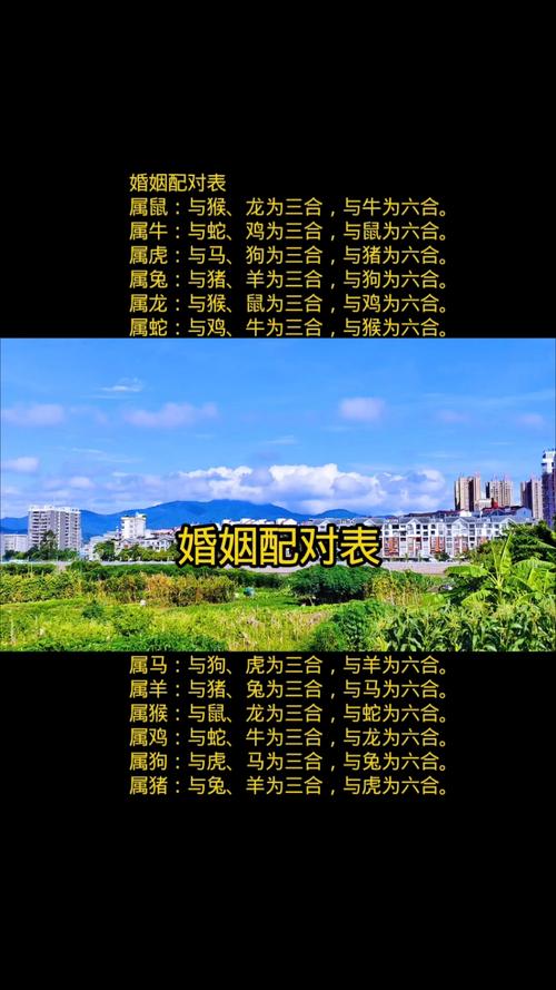 2026年如何进行姓名婚姻配对和夫妻姓名测算？