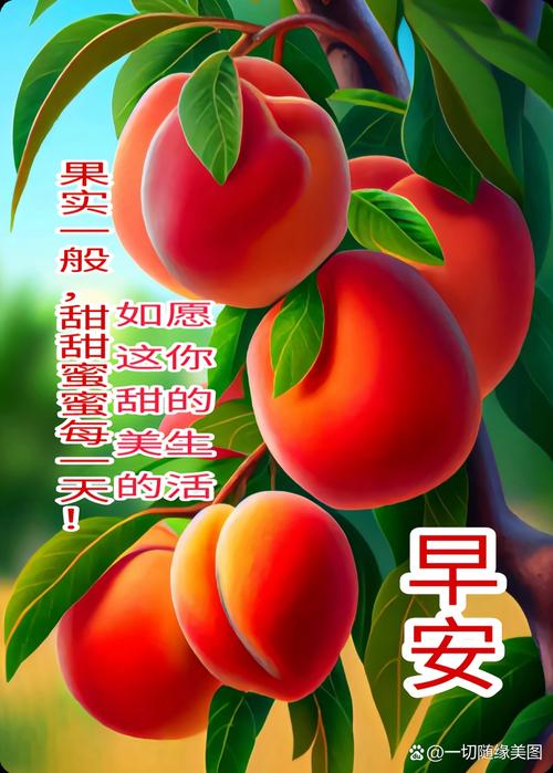 桃子祝福语有哪些，能分享一些吉祥的桃子祝福语吗？