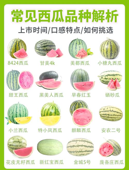 梦见西瓜和西红柿分别预示着什么吉凶？