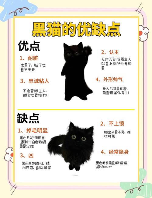 学生梦见黑猫自己彳艮害怕是什么寓意或象征？