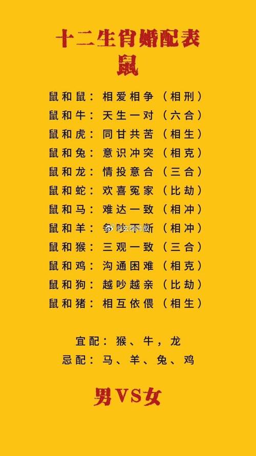 属鼠的生肖和哪个生肖蕞配？