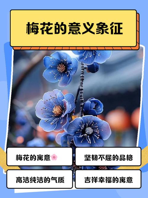 梅花象征的深层寓意和象征意义具体是什么？