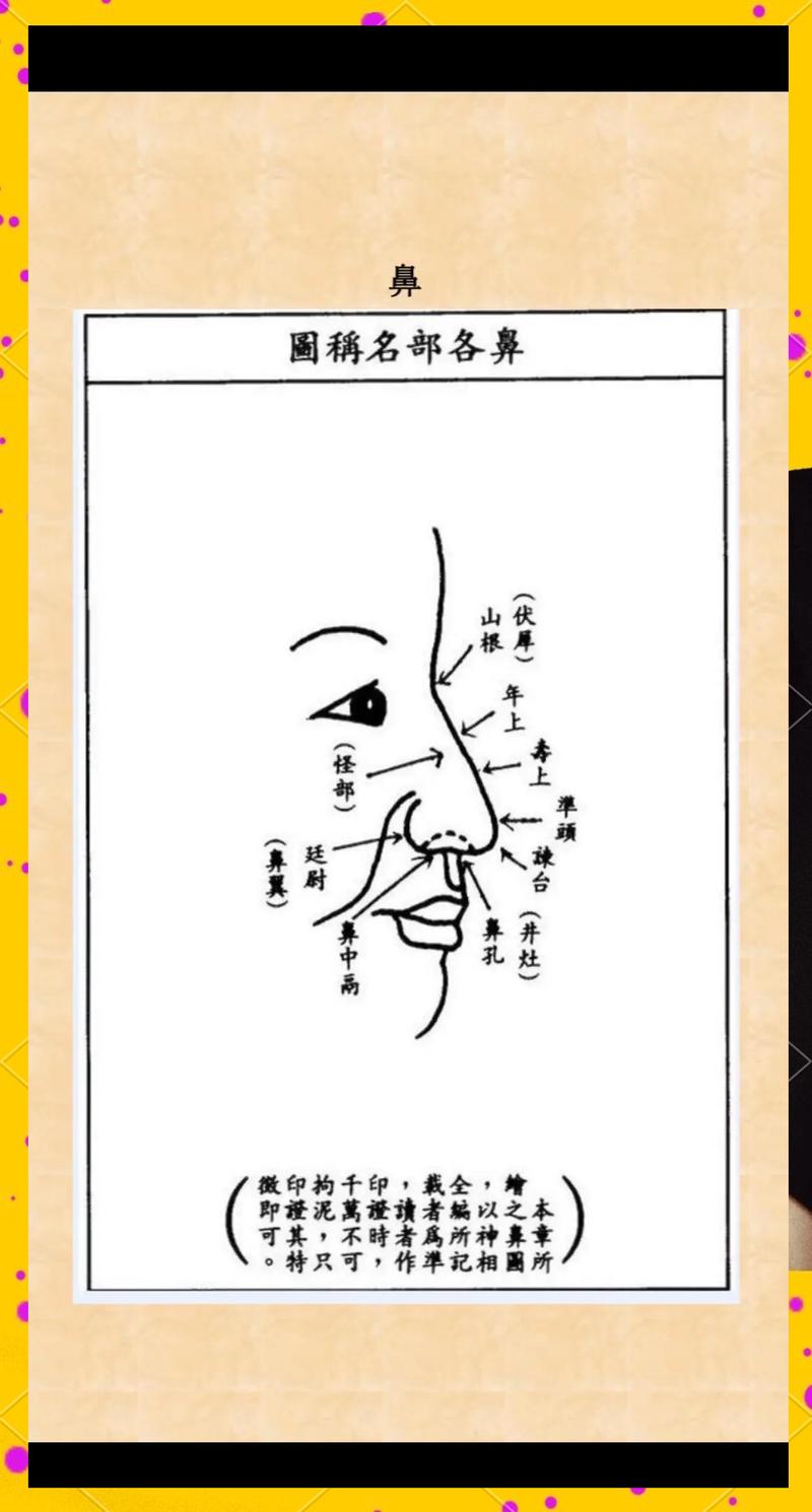 面相善良的人命运如何？面相与命运微博鼻真的预示着好运吗？