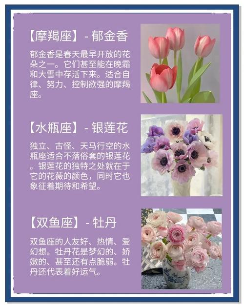十二星座的专属幸运花分别是什么？