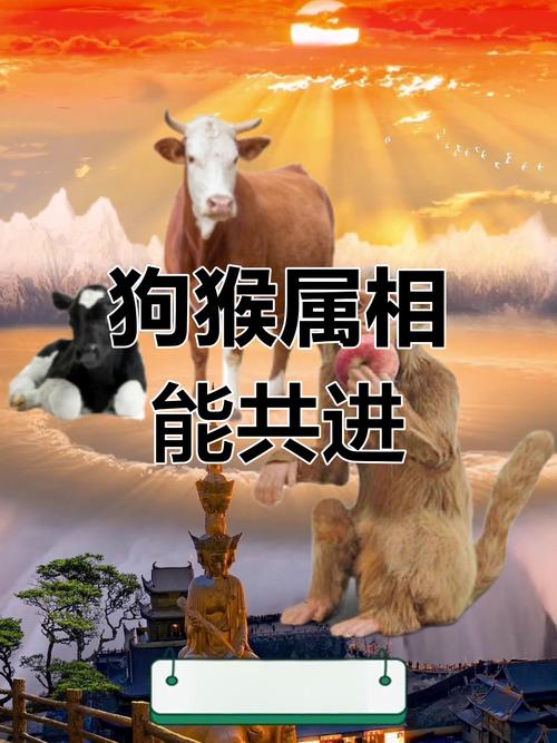 属牛和属猴的人一起工作会和谐吗？合作效果如何？