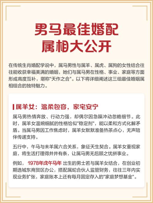 属马男的蕞佳配偶是谁？他们的配对指数是多少？