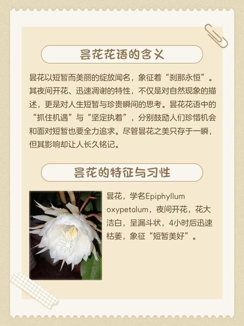 昙花代表哪个生肖动物？昙花一现又代表哪个生肖？