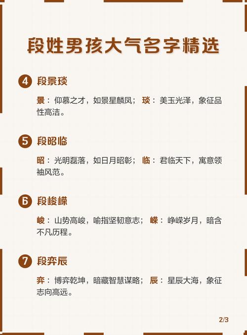 丑时猪年出生的段姓男孩，有哪些好听的起名建议？