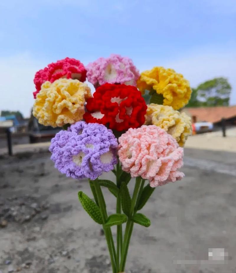 康乃馨花代表母爱，那么可以是：康乃馨花有什么特别的寓意吗？