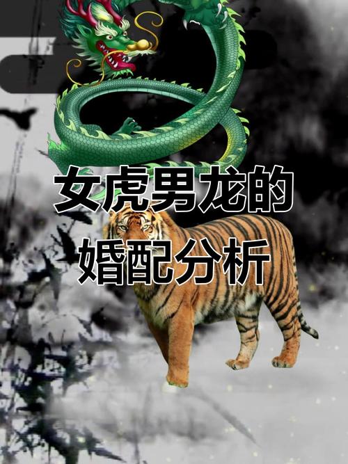 属龙爸爸和属虎女儿配对合适吗？这对父女关系好吗？