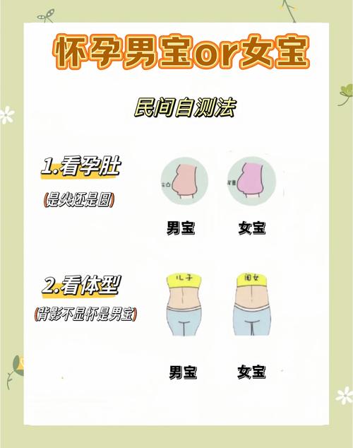 如何通过最精确的方法准确判断胎儿的性别？