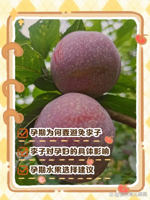 孕妇梦见吃桃子、李子和吞枣核分别预示着什么？