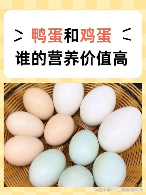 梦见大量鸡蛋和鸭蛋预示着什么？