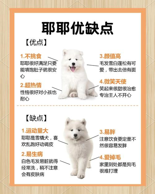 小狗的性格特点有哪些，能详细描述一下它的活泼可爱和忠诚友善吗？
