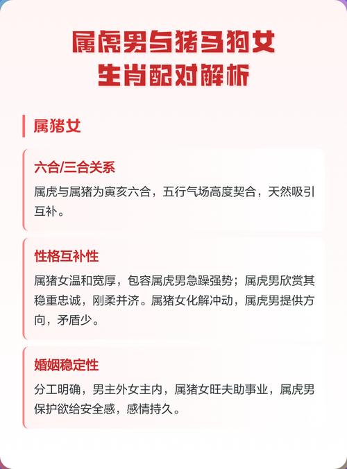 属猪的人与哪个生肖最般配，老虎是否也是最佳选择呢？
