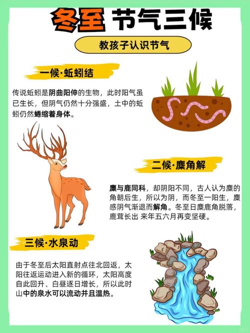 冬至这天出生的人，对应的生肖是什么？