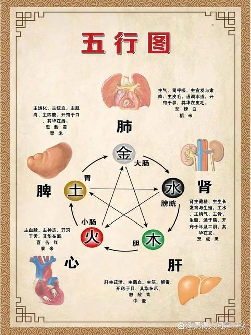 五行中哪个元素最不关键？五行缺哪个元素对个人运势影响较大？