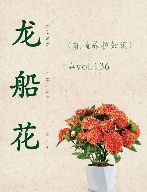 这个插花主题叫什么名字，它有什么特别的寓意吗？