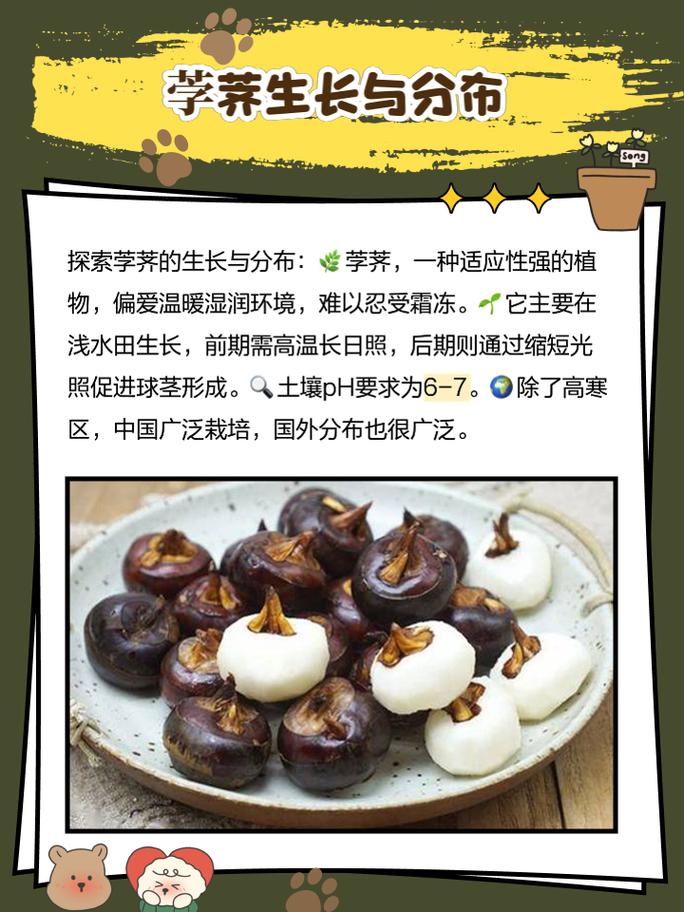 女人梦见荸荠预示着什么吉凶？