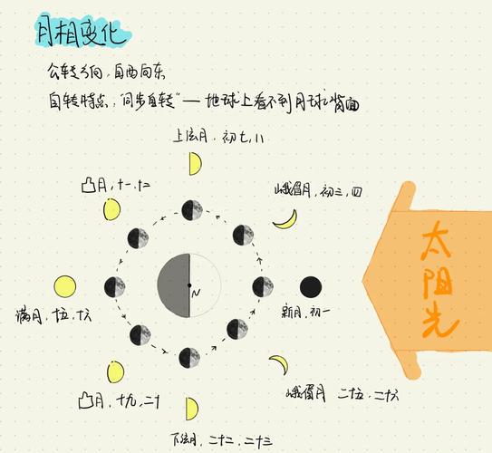 农历朔日和望日分别是每月的哪一天？