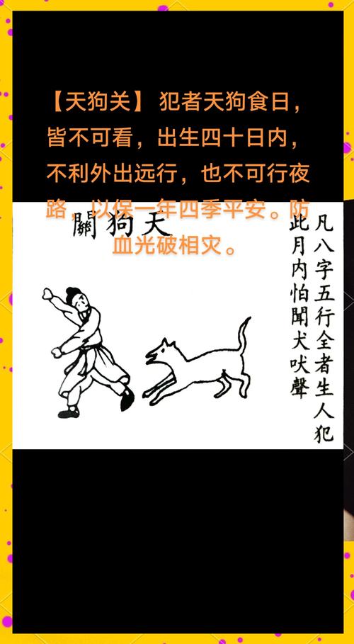 八字中日子带狗，天狗煞究竟意味着什么？