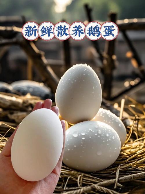 孕妇梦见坑边捡鹅蛋是什么预兆或含义？
