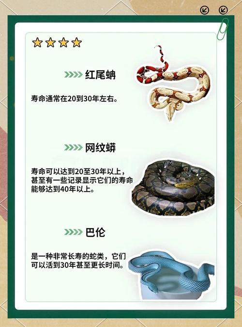 65岁属蛇女性平均寿命是多少年？