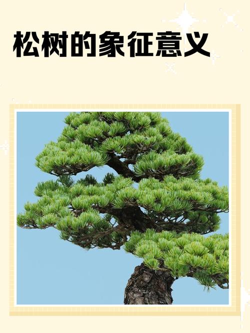 孕妇梦见老公种松树是什么预兆？预示着家庭和睦、生活幸福吗？