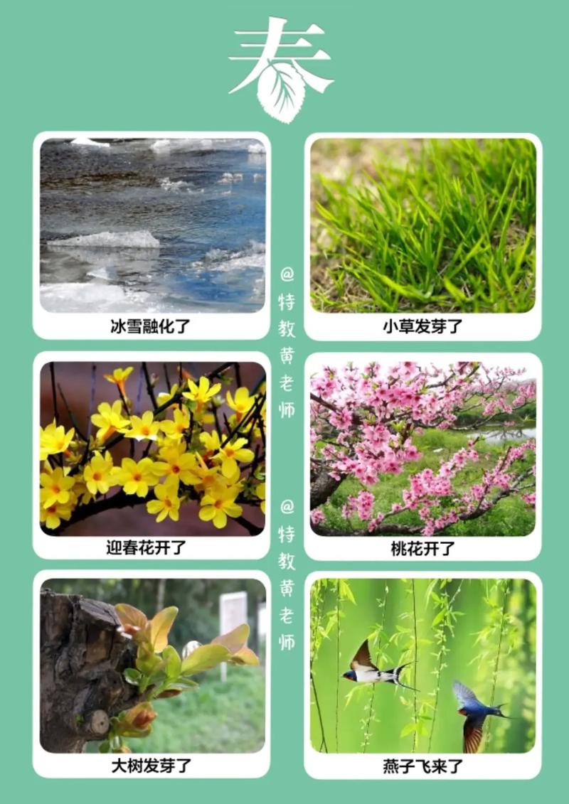 春华秋实、夏炎冬雪，这四个季节分别叫什么名字？