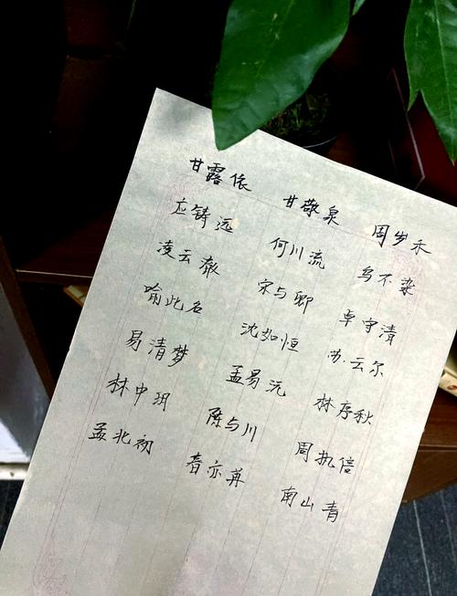 现在还有谁还在用爷爷奶奶辈的名字，比如子轩、楮墨这样的名字吗？