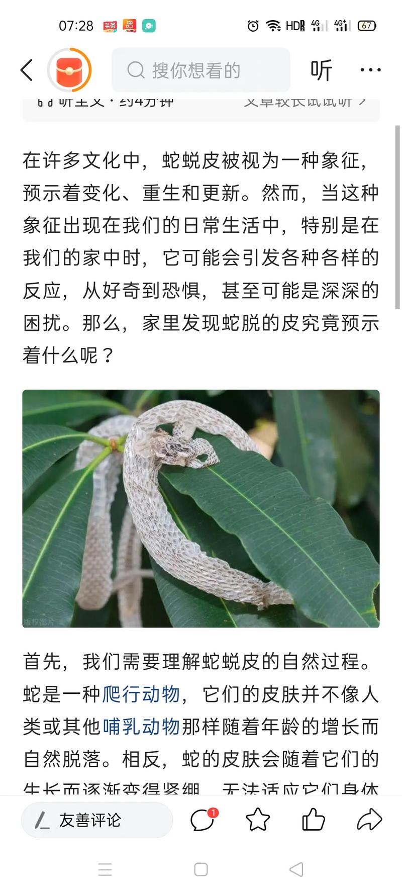 孕妇梦见黑蛇脱皮是什么预兆或含义？