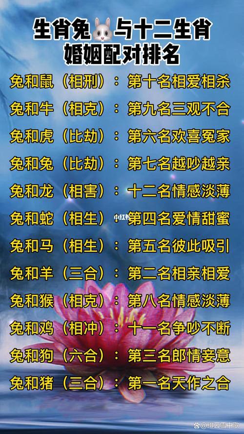 属兔男生和哪个属相的女生最般配？