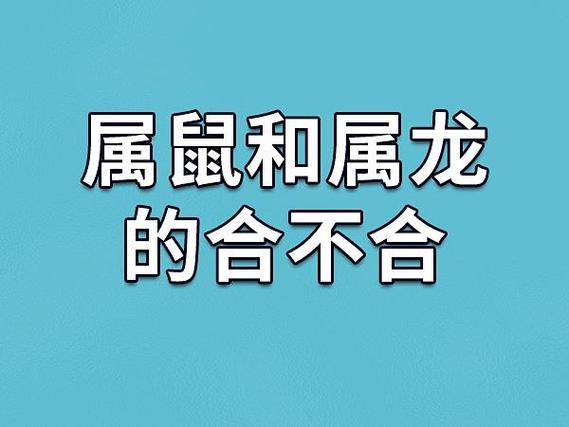 属龙和属鼠的人合作做生意合适吗？他们的属相相合吗？