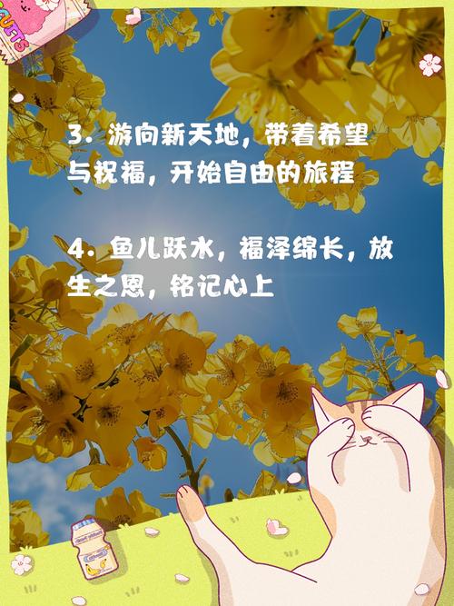 放生鱼时如何用一句长尾表达对放生行为的美好寓意？