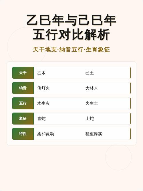 乙巳大运五行属什么乙巳五行属性具体是哪一种？