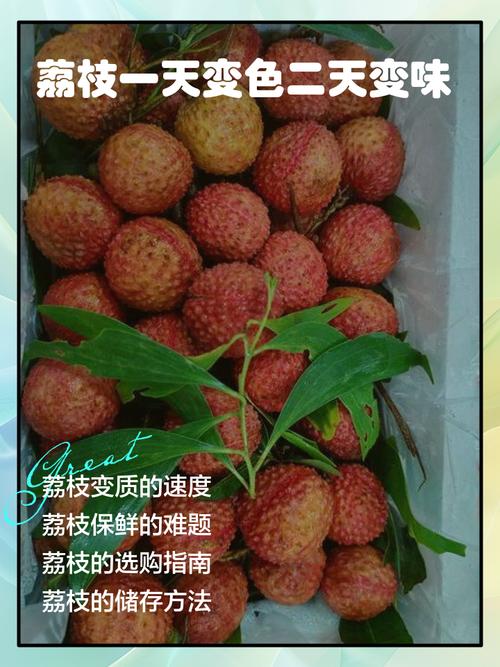 梦见大量荔枝预示着什么吉凶？