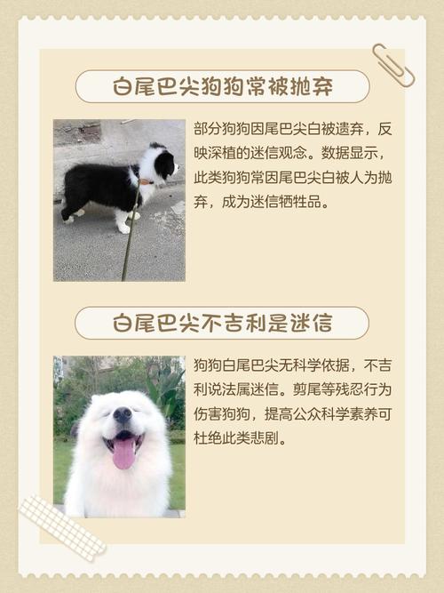 梦见白色的狗究竟预示着什么含义？周公解梦中的白色狗有何特殊象征？