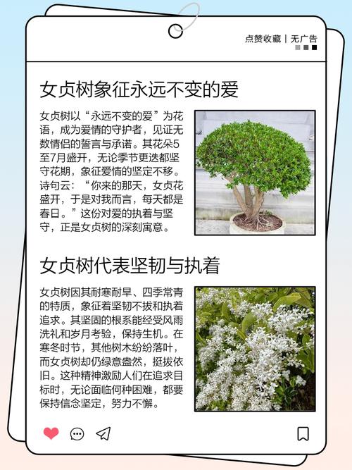 为什么爱情被称为常青树，它究竟有何独特之处？