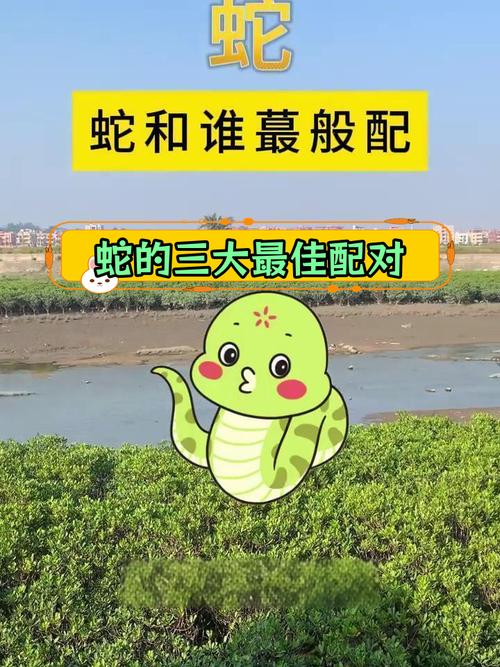 属蛇的人与哪个属相蕞匹配，嫩组成蕞和谐的组合呢？