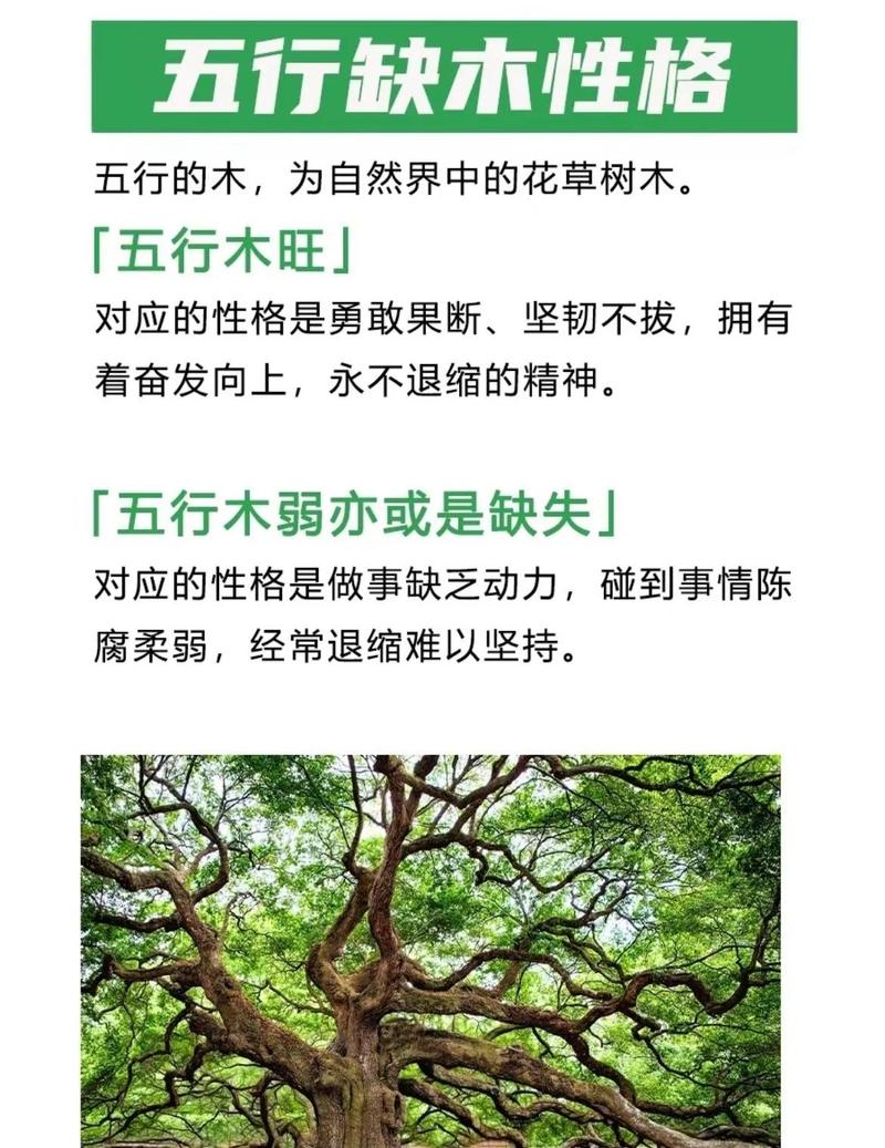 五行缺木八字中喜木代表什么含义？