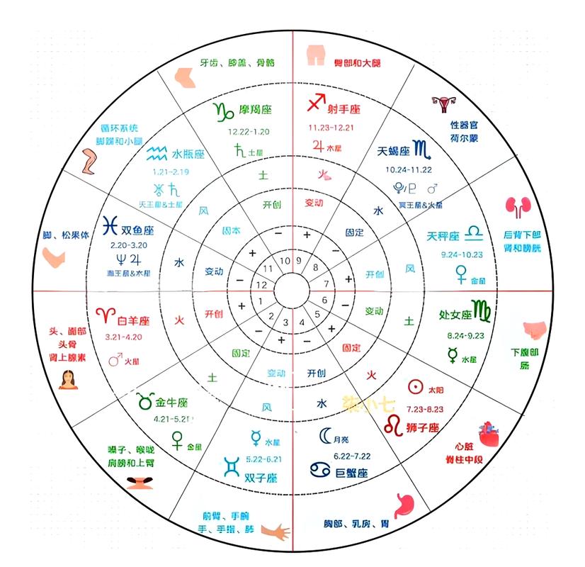 天秤座后面紧接着的星座是哪个呢？