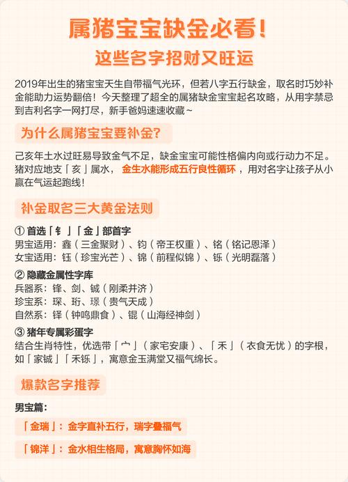 属猪宝宝取什么名字大全，有没有好的建议？