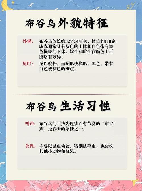 家里养布谷鸟作为吉祥物，这种做法有什么特别的寓意或象征意义吗？